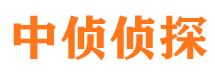 渭城寻人公司